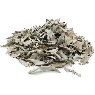 White sage (Salvia apiana)
